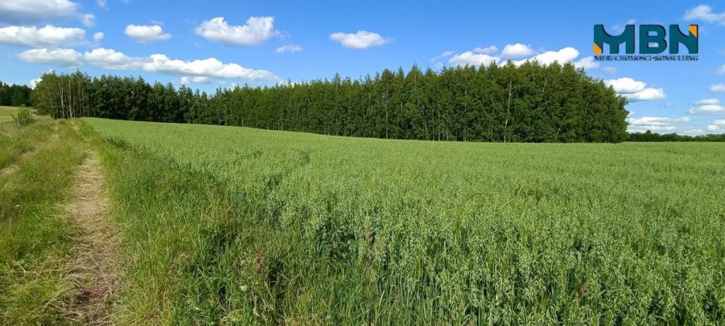 Działka rolna 3000&nbsp;m², Pozezdrze - zdjęcie 12