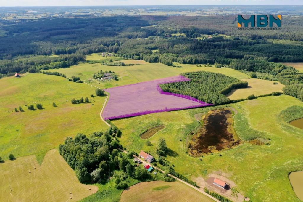 Działka rolna 3000&nbsp;m², Pozezdrze - zdjęcie 6