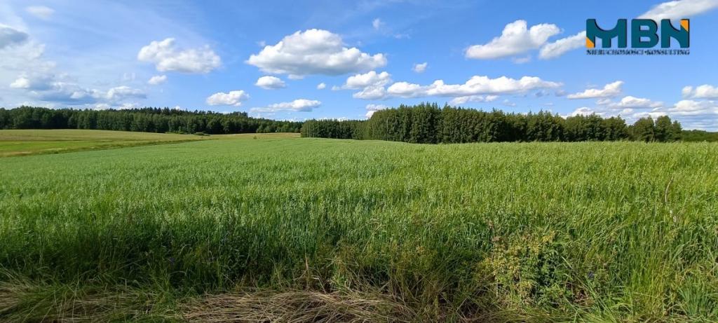 Działka rolna 3000&nbsp;m², Pozezdrze - zdjęcie 10