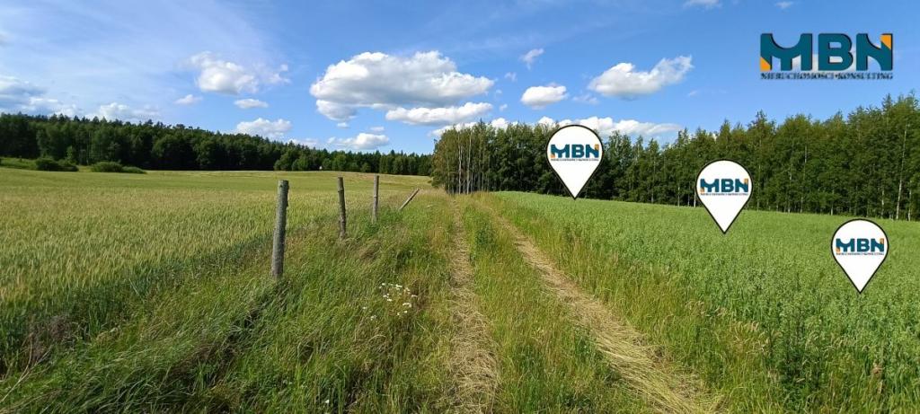 Działka rolna 3000&nbsp;m², Pozezdrze - zdjęcie 14