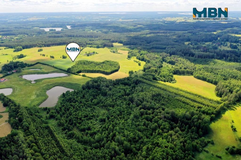 Działka rolna 3000&nbsp;m², Pozezdrze - zdjęcie 3