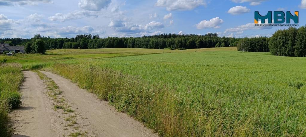 Działka rolna 3000&nbsp;m², Pozezdrze - zdjęcie 9