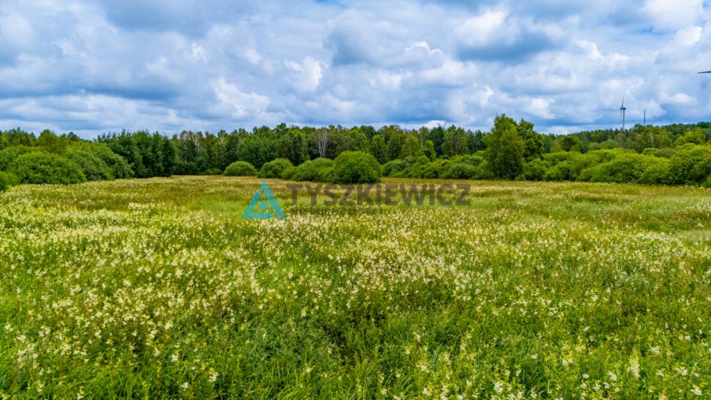 Działka z potencjałem inwestycyjnym - zdjęcie 2