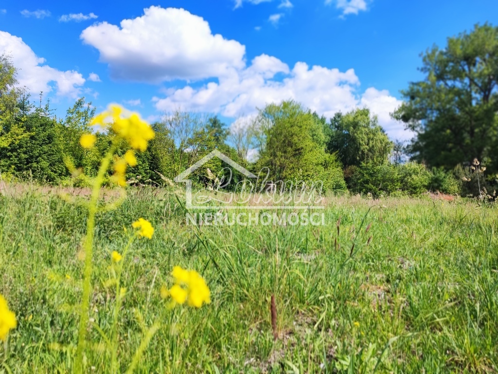 Działka budowlana 1001&nbsp;m², Żarowo - zdjęcie 1