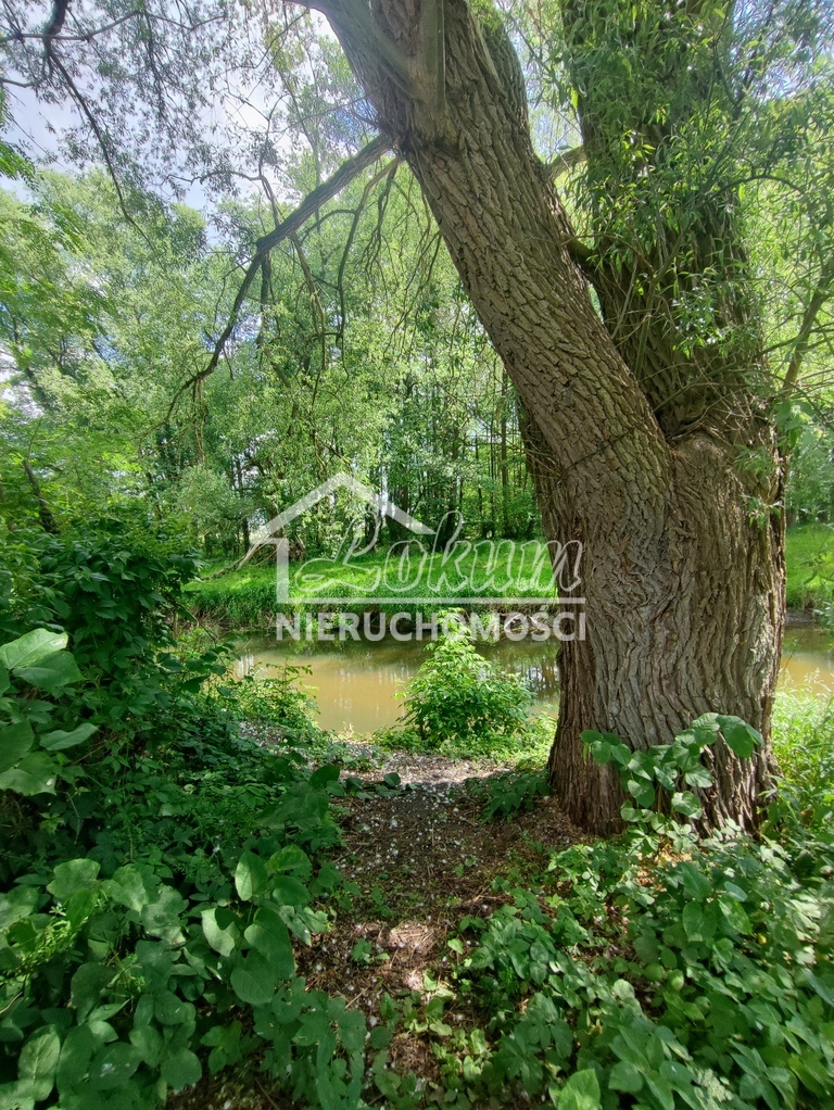 Działka budowlana 1001&nbsp;m², Żarowo - zdjęcie 6