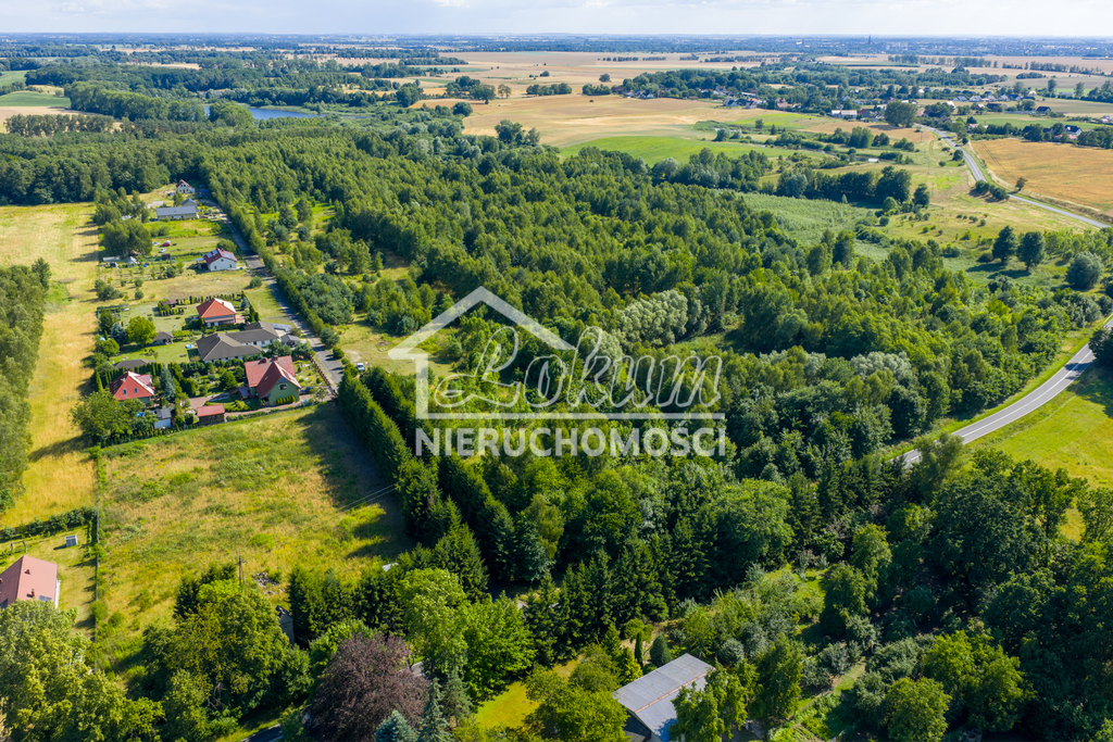 Działka budowlana 4685&nbsp;m², Grabowo - zdjęcie 2