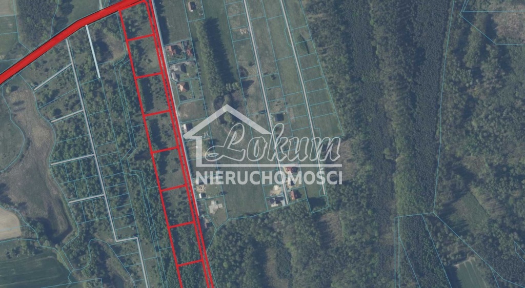 Działka budowlana 4685&nbsp;m², Grabowo - zdjęcie 10