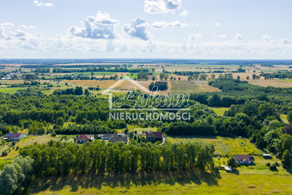 Działka budowlana 4685&nbsp;m², Grabowo - zdjęcie 5