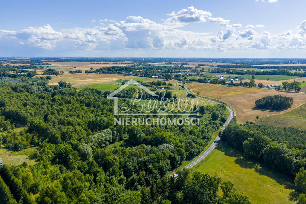 Działka budowlana 4685&nbsp;m², Grabowo - zdjęcie 6