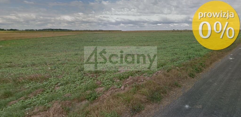 Działka budowlana 1365 m², Borki-Paduchy - zdjęcie 5