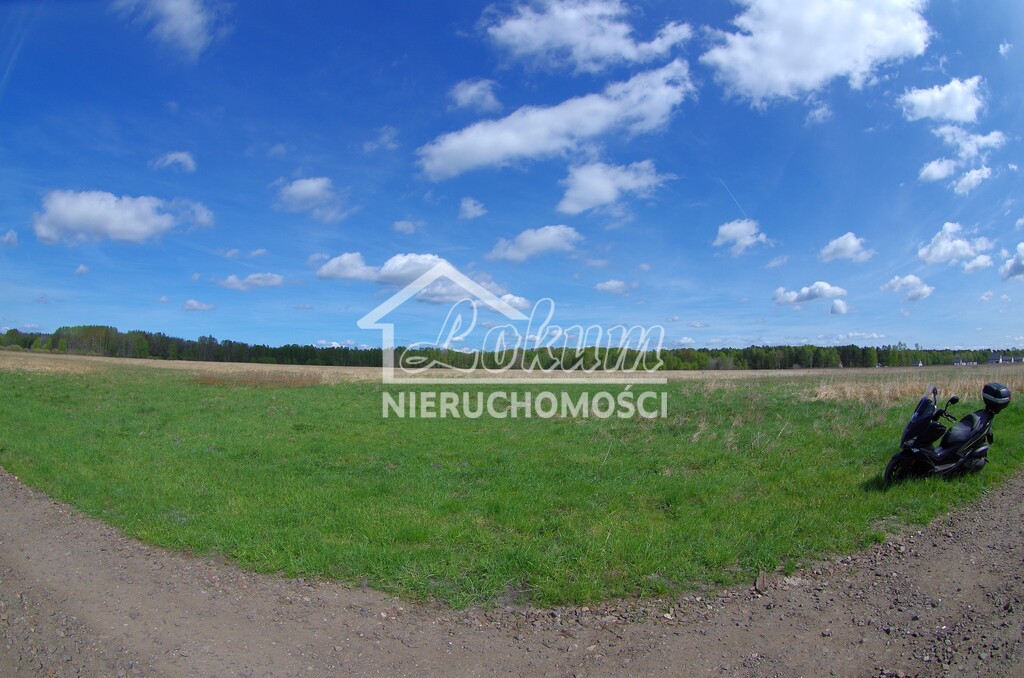 Działka budowlana 3260&nbsp;m², Niedźwiedź - zdjęcie 7