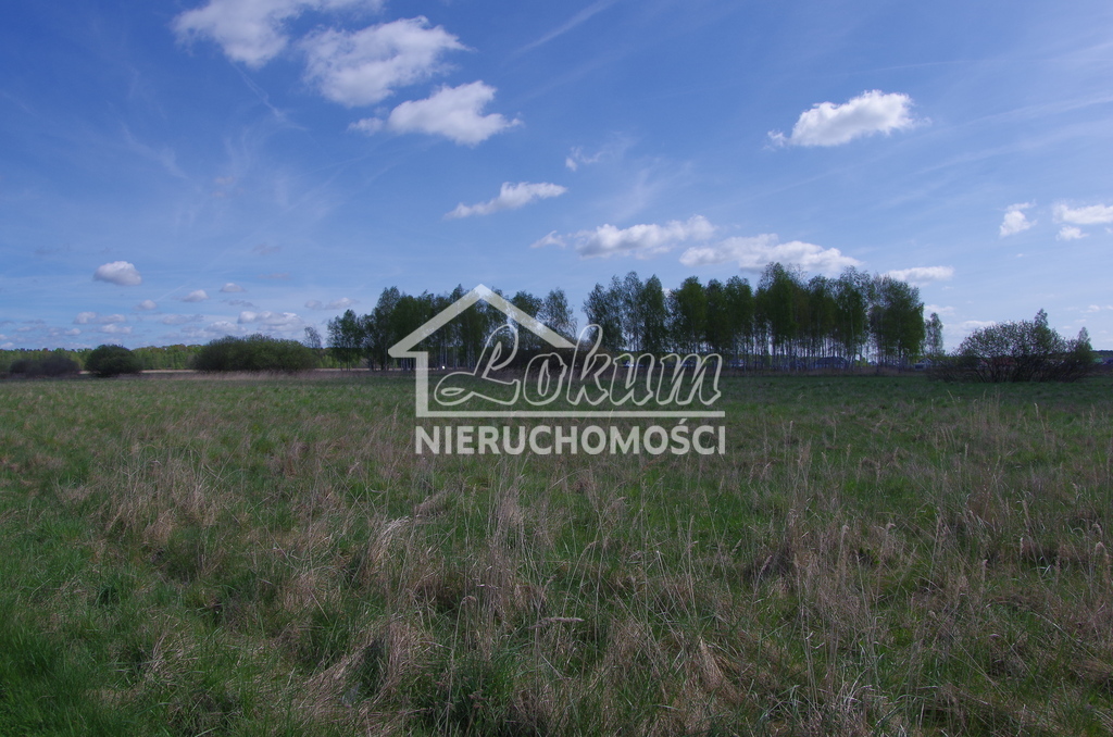 Działka budowlana 3260&nbsp;m², Niedźwiedź - zdjęcie 2