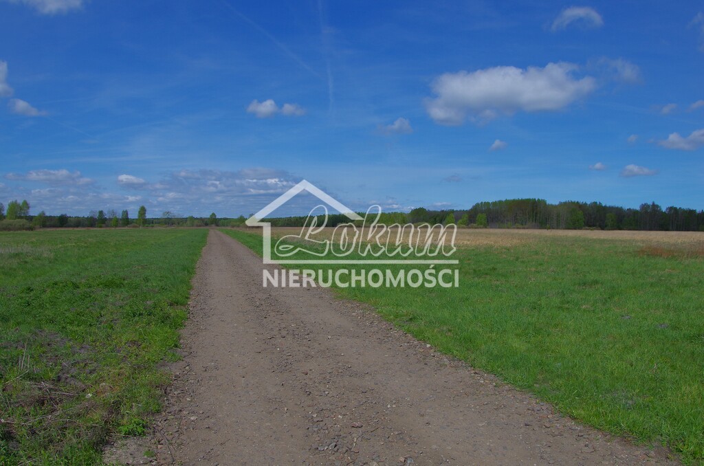 Działka budowlana 3260&nbsp;m², Niedźwiedź - zdjęcie 8