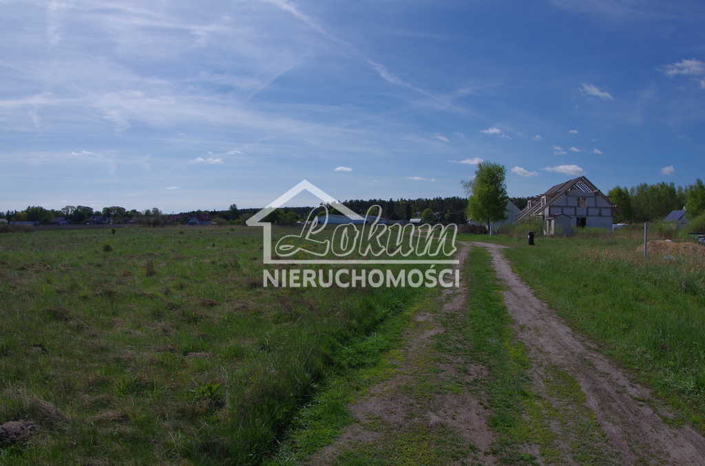 Działka budowlana 3260&nbsp;m², Niedźwiedź - zdjęcie 6