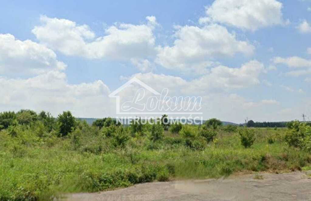 Działka inwestycyjna 6,94&nbsp;ha, Kozłów - zdjęcie 3