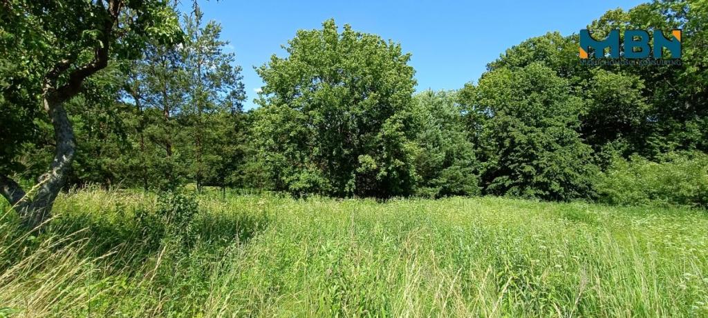 Działka budowlana 1497&nbsp;m², Kruklanki - zdjęcie 12