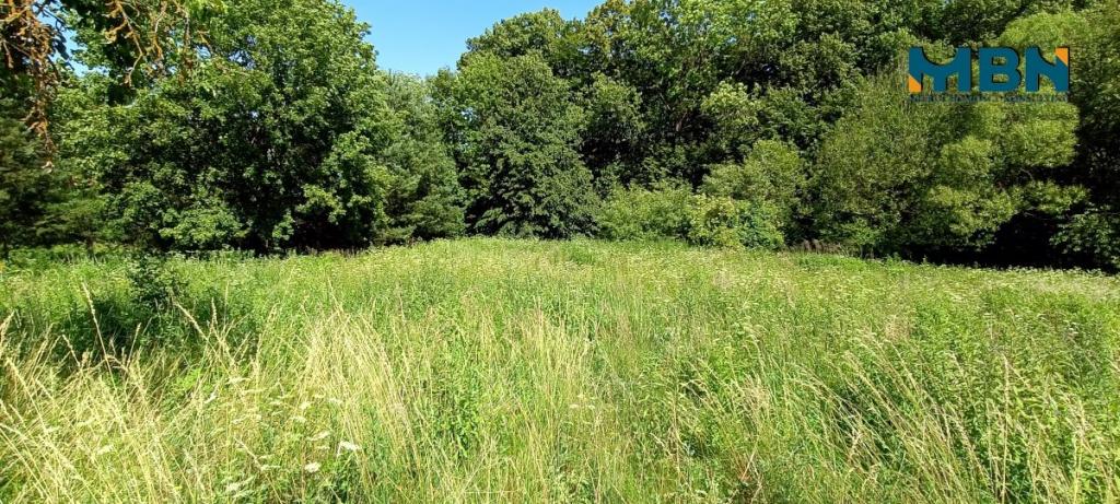Działka budowlana 1497&nbsp;m², Kruklanki - zdjęcie 10