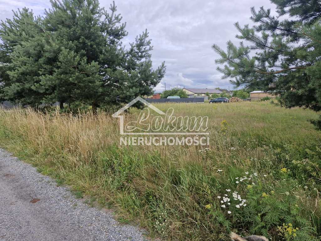 Działka budowlana 2200&nbsp;m², Modrzewie - zdjęcie 3