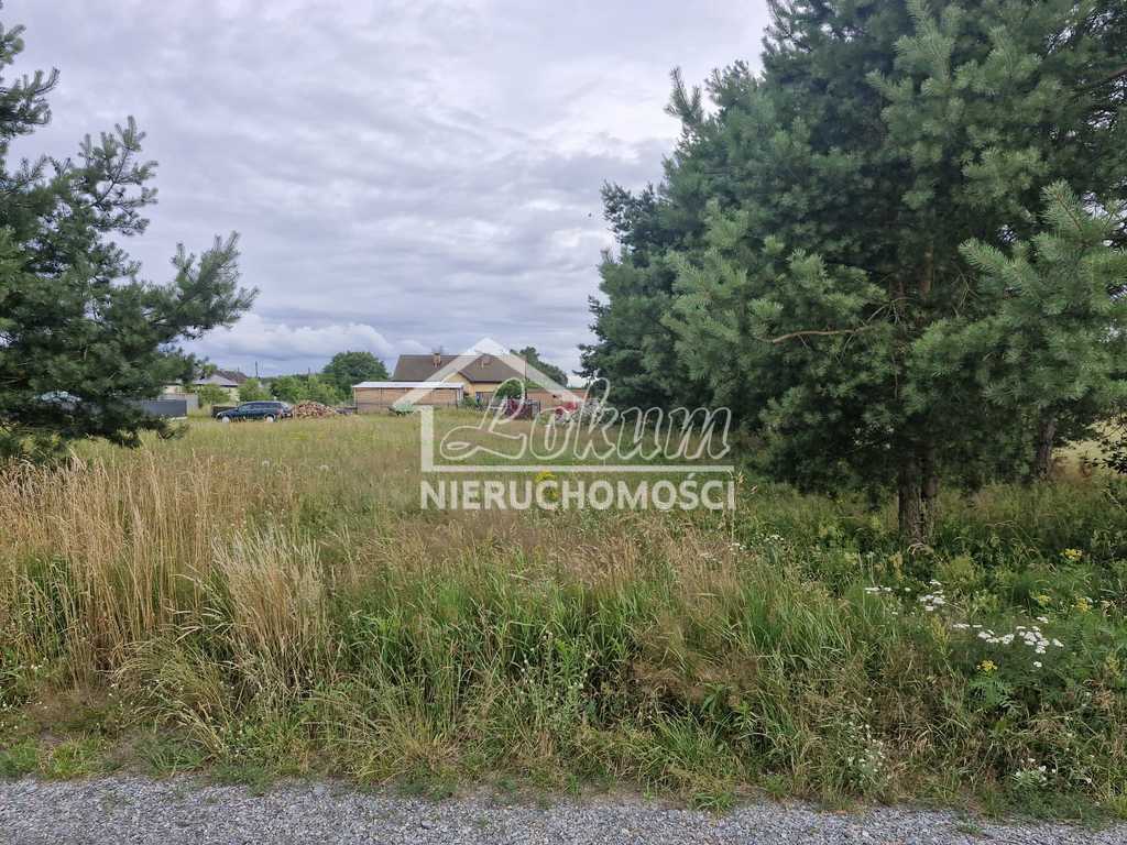 Działka budowlana 2200&nbsp;m², Modrzewie - zdjęcie 2