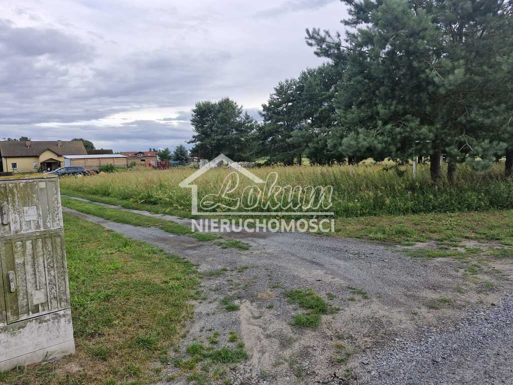 Działka budowlana 2200&nbsp;m², Modrzewie - zdjęcie 1