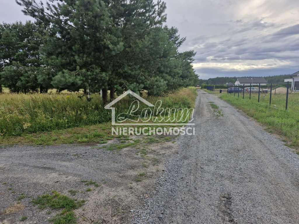 Działka budowlana 2200&nbsp;m², Modrzewie - zdjęcie 4