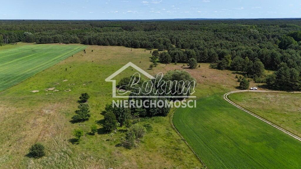 Działka budowlana 3016 m², Ostrowiec - zdjęcie 12
