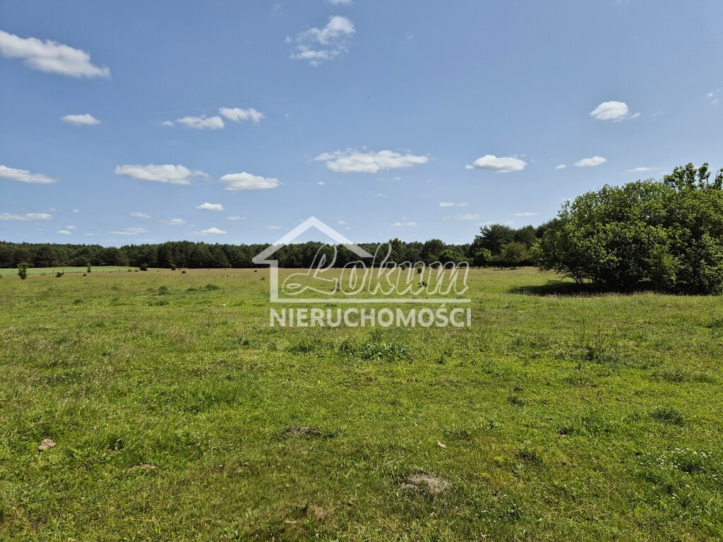 Działka budowlana 3016&nbsp;m², Ostrowiec - zdjęcie 13