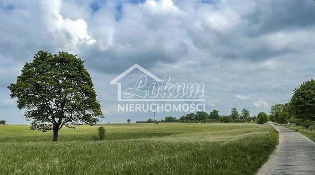 Działka budowlana 869 m², Dołgie - zdjęcie 7