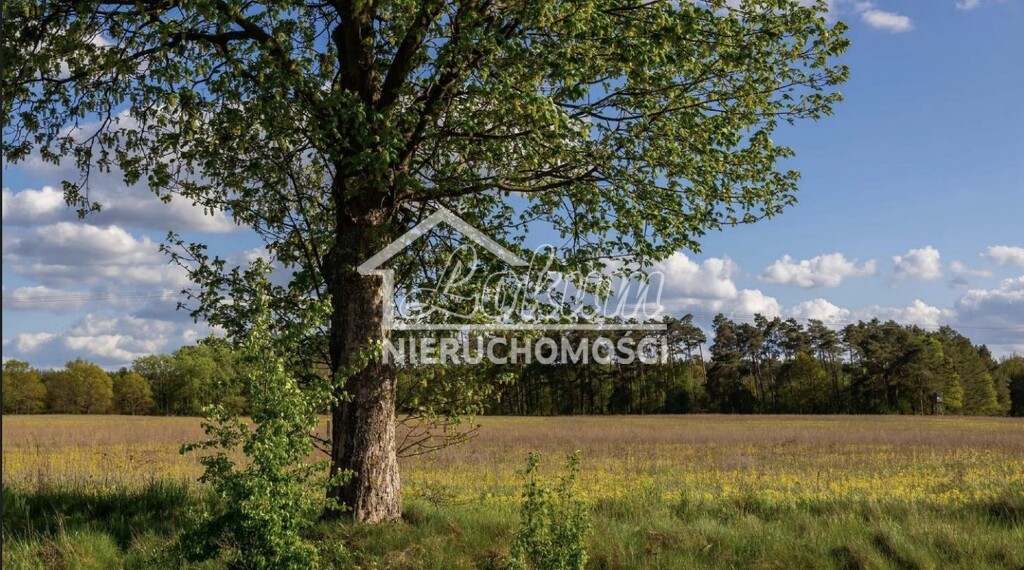 Działka budowlana 6,61&nbsp;ha, Jarnatów - zdjęcie 1