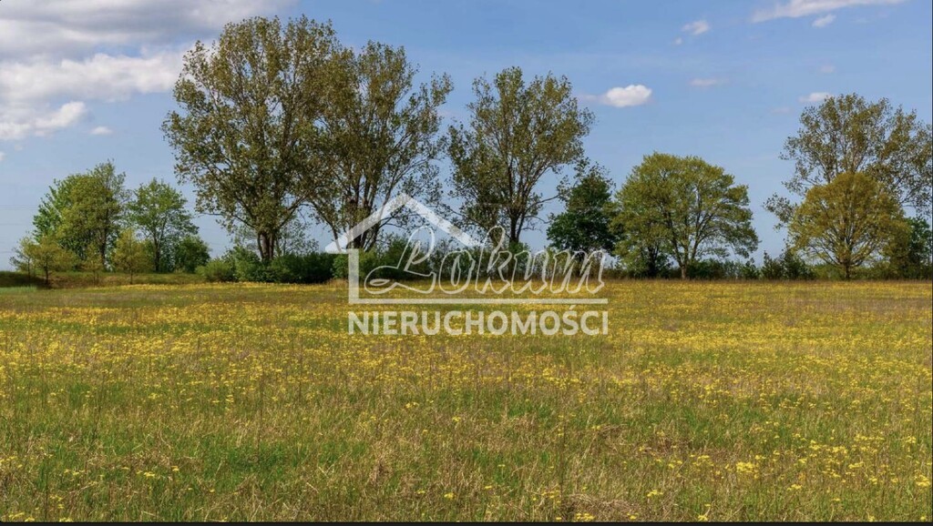 Działka budowlana 6,61&nbsp;ha, Jarnatów - zdjęcie 2