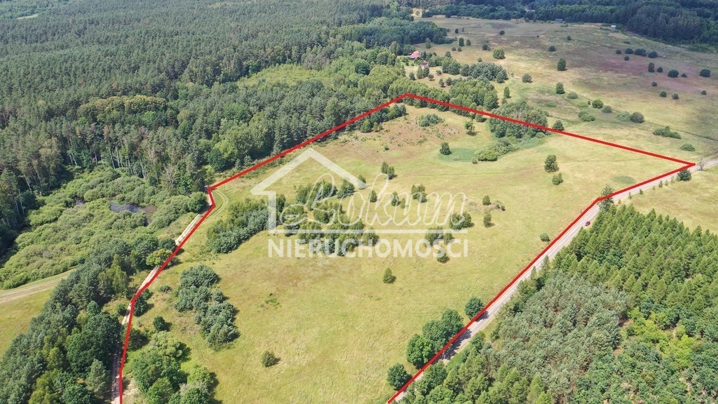Działka budowlana 3275&nbsp;m², Gronowo - zdjęcie 3