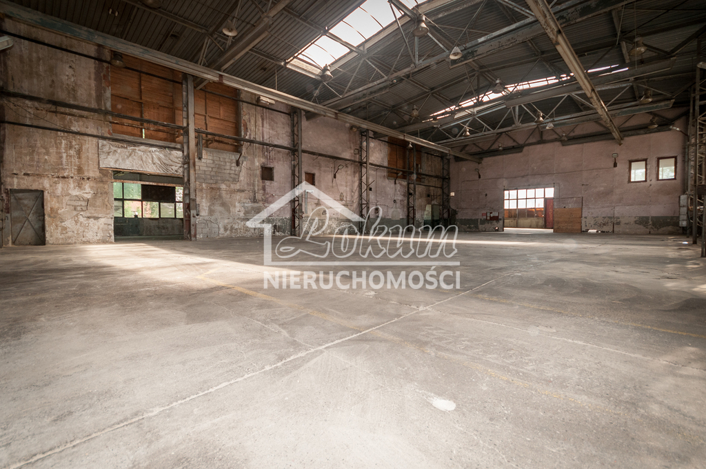 Magazyn do wynajęcia, 1418&nbsp;m², Szczecin - zdjęcie 5