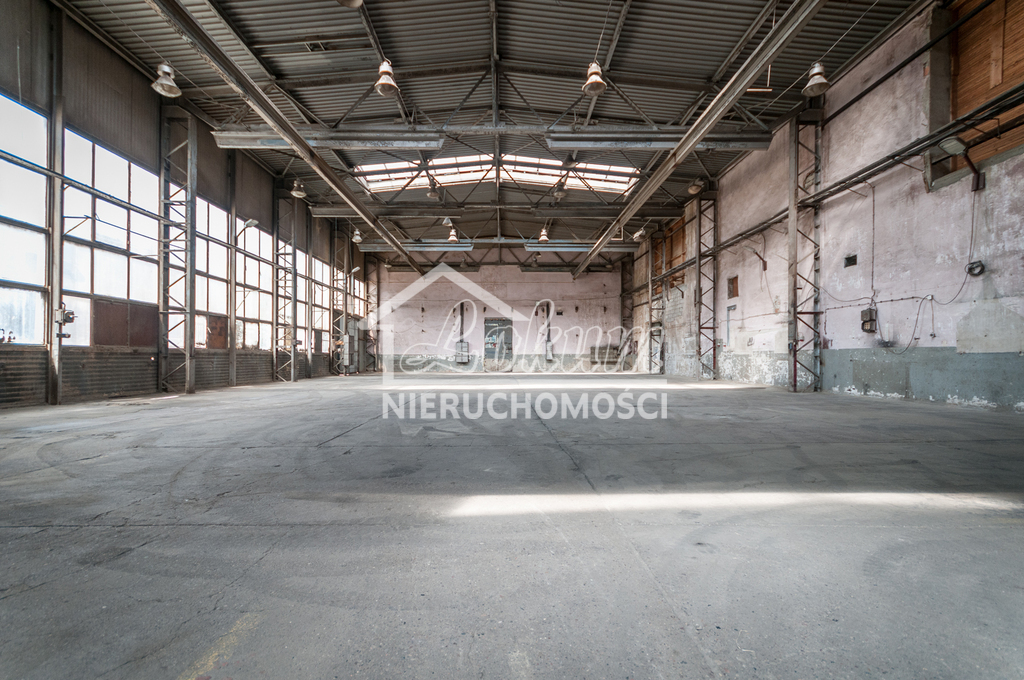 Magazyn do wynajęcia, 1418&nbsp;m², Szczecin - zdjęcie 1