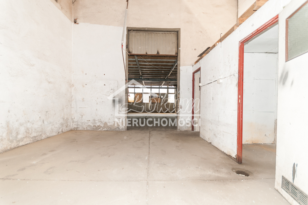 Magazyn do wynajęcia, 250&nbsp;m², Szczecin - zdjęcie 4