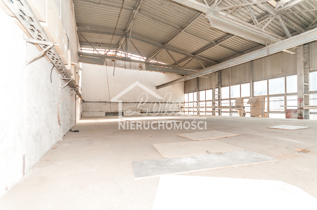 Magazyn do wynajęcia, 250&nbsp;m², Szczecin - zdjęcie 5
