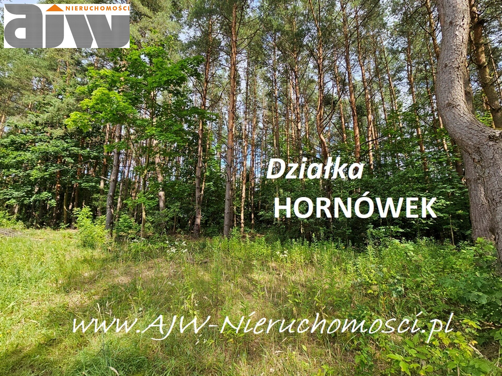 Działka Hornówek, powierzchnia 2000 m2 - zdjęcie 2