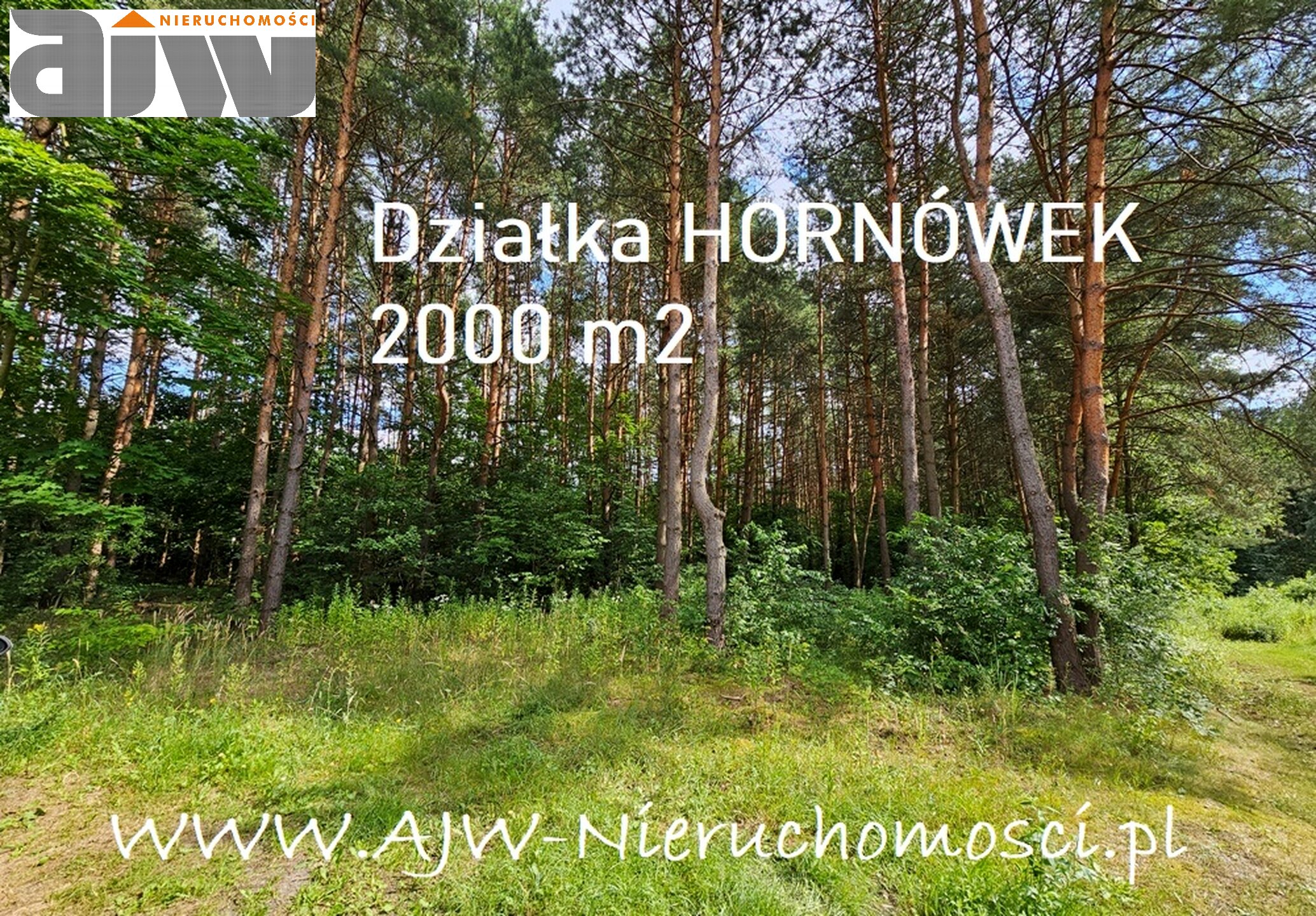Działka Hornówek, powierzchnia 2000 m2 - zdjęcie 1