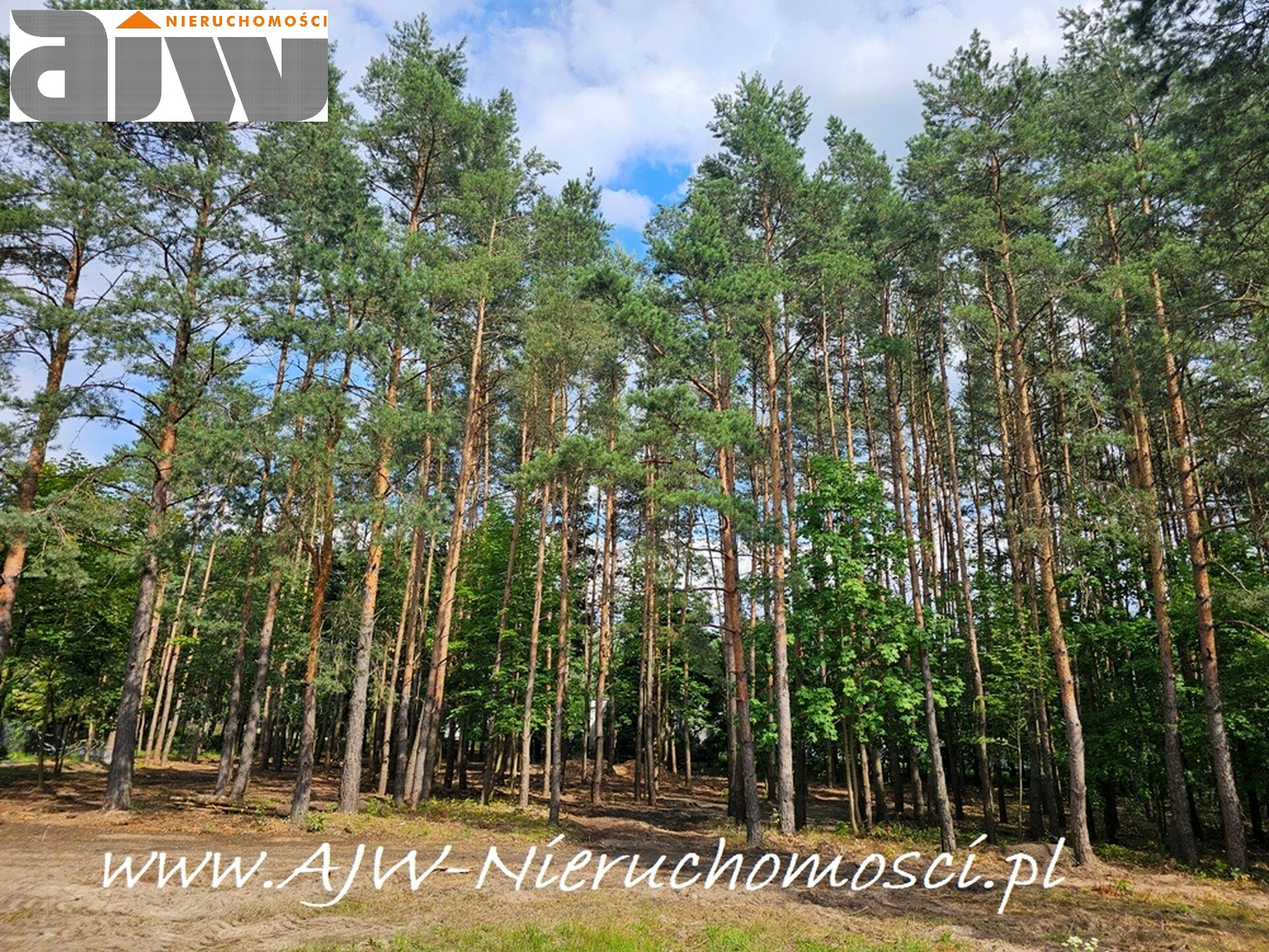 Działka Hornówek, powierzchnia 2000 m2 - zdjęcie 3