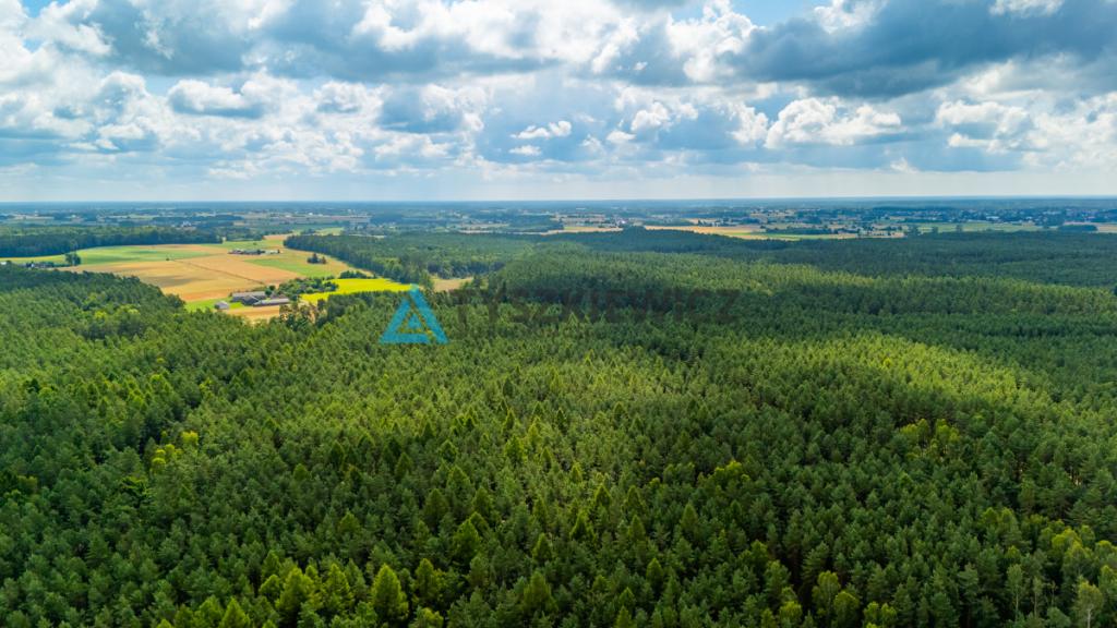 Mokre gm Czersk , działka na Twój wymarzony dom - zdjęcie 8