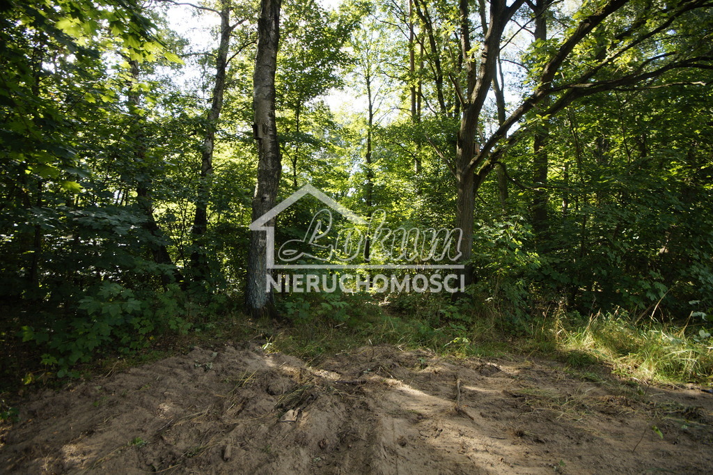 Działka budowlana 2304&nbsp;m², Wisławie - zdjęcie 9