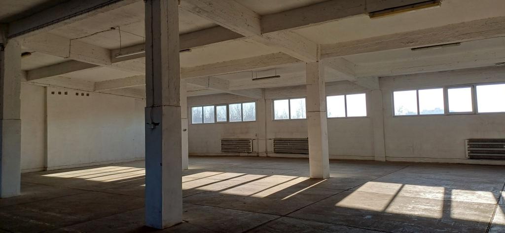 Magazyn do wynajęcia, 826 m², Sosnowiec, Ptasia - zdjęcie 1