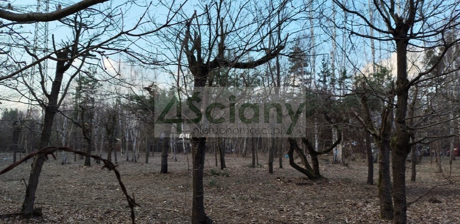 Działka budowlana 3800 m², Złotokłos - zdjęcie 9