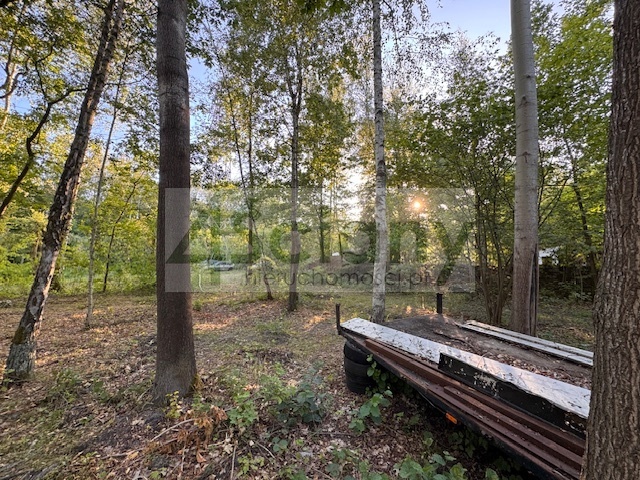 Działka budowlana 3800 m², Złotokłos - zdjęcie 7