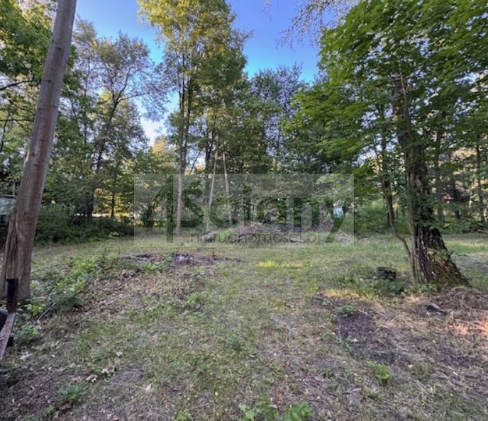 Działka budowlana 3800 m², Złotokłos - zdjęcie 4