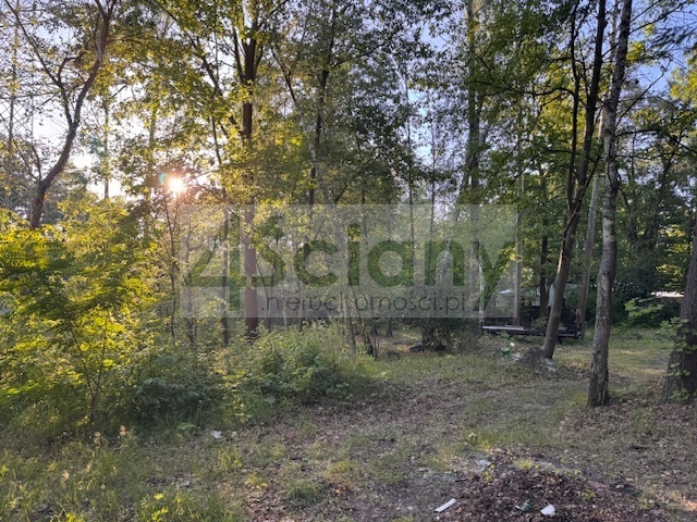 Działka budowlana 3800 m², Złotokłos - zdjęcie 6