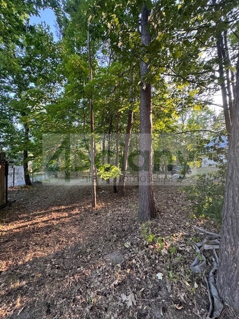 Działka budowlana 3800 m², Złotokłos - zdjęcie 2