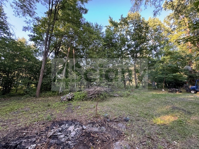 Działka budowlana 3800 m², Złotokłos - zdjęcie 5