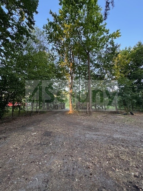 Działka budowlana 3800 m², Złotokłos - zdjęcie 8