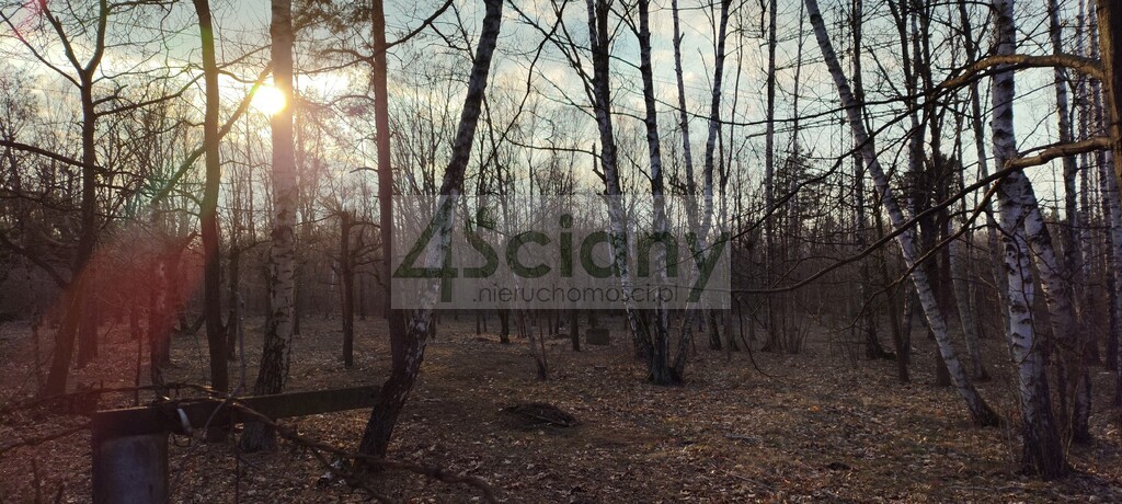 Działka budowlana 3800 m², Złotokłos - zdjęcie 10