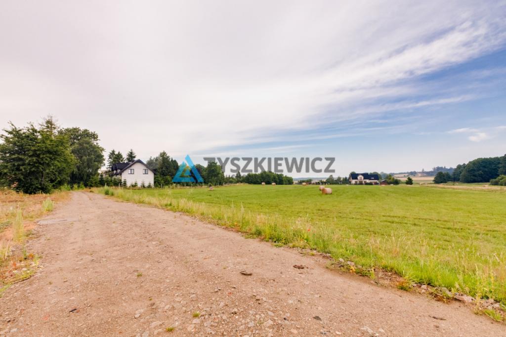 Oferta inwestycyjna - działka Krokowa - zdjęcie 7